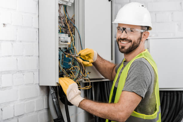 Best Electric Panel Repair  in Carlinvle, IL